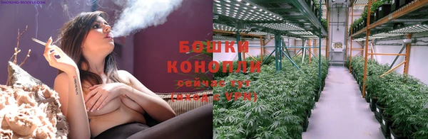 ALPHA PVP Белокуриха