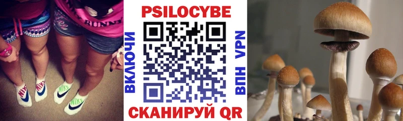 продажа наркотиков  Владивосток  Галлюциногенные грибы Magic Shrooms 